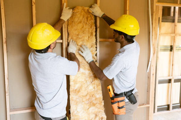 Best Soundproof Insulation Installation  in Monte Alto, TX
