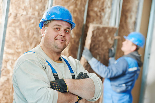 Best Best Insulation Companies  in Monte Alto, TX